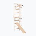 Gymnastický žebřík RINAGYM SPR A+SLIDE 4