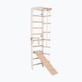 Gymnastický žebřík RINAGYM SPR B+SLIDE 2