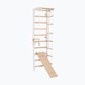 Gymnastický žebřík RINAGYM SPR B+SLIDE 3