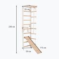 Gymnastický žebřík RINAGYM SPR B+SLIDE 5