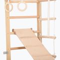 Gymnastický žebřík RINAGYM SPR B+SLIDE 5