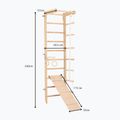 Gymnastický žebřík RINAGYM SPR B+SLIDE 6