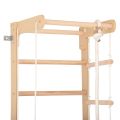 Gymnastický žebřík RINAGYM SPR B 4