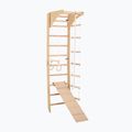 Gymnastický žebřík RINAGYM SPR C+SLIDE 3