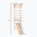 Gymnastický žebřík RINAGYM SPR C+SLIDE 6