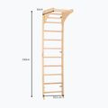 Gymnastický žebřík RINAGYM SPR C Pure 5