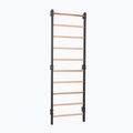 Gymnastické žebřiny RINAGYM Steel 1 graphit 2