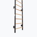 Gymnastické žebřiny RINAGYM Steel 1 graphit 4