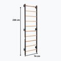 Gymnastické žebřiny RINAGYM Steel 1 graphit 9