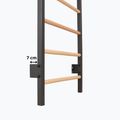 Gymnastické žebřiny RINAGYM Steel 1 graphit 10