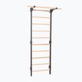Gymnastické žebřiny RINAGYM Steel Pure graphit 2