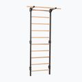 Gymnastické žebřiny RINAGYM Steel Pure graphit 3