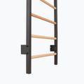 Gymnastické žebřiny RINAGYM Steel Pure graphit 9