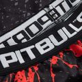 Pánské legíny Pitbull West Coast Compr Pants Blood Dog black 3