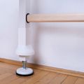 Gymnastický žebřík BenchK bílý BK-412 10