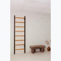 BenchK gymnastický žebřík černý BK-210B 11