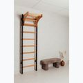 BenchK gymnastický žebřík černý BK-211B 13