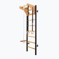 BenchK gymnastický žebřík černý BK-211B+A076