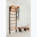 BenchK gymnastický žebřík černý BK-211B+A076 15