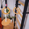 Sada gymnastických potřeb BenchK pro děti hnědá A/076 5