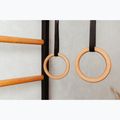 BenchK gymnastický žebřík černý BK-221B+A076 10