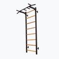 BenchK gymnastický žebřík černý BK-221B