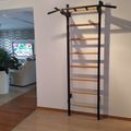 BenchK gymnastický žebřík černý BK-221B 14