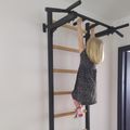 BenchK gymnastický žebřík černý BK-221B 20