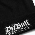Zimní kulich Pitbull Beanie Bubble One Tone Old Logo black 2