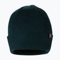 Pánská zimní čepice Pitbull West Coast Beanie Small Logo dark green 2