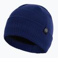 Zimní čepice Pitbull West Coast Beanie Small Logo royal blue