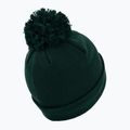 Zimní čepice Pitbull West Coast Beanie Bubble Small Logo dark green 2