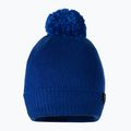 Pánská zimní čepice Pitbull West Coast Beanie Bubble Small Logo royal blue 2