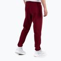 Pánské kalhoty Pitbull West Coast Track Pants Athletic burgundy 2