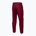 Pánské kalhoty Pitbull West Coast Track Pants Athletic burgundy 6