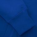 Pánská mikina Pitbull West Coast Hooded Small Logo royal blue 4