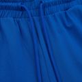Pánské kalhoty Pitbull West Coast Durango Jogging 210 royal blue 3