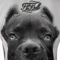 Dámské tričko Pitbull West Coast Ir white 3