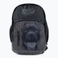 Pánský batoh Pitbull West Coast Pitbull Ir black/grey