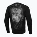 Pánská mikina Pitbull West Coast Born In 1989 Crewneck černá 3