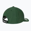 Kšiltovka Pitbull Snapback ,,Logo" Hybrid green 2