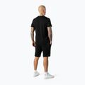 Pánské kraťasy  Pitbull West Coast Dolphin black 2