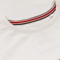 Pánské tričko Pitbull West Coast T-S Hilltop 210 white 4
