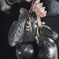 Pánské tričko Pitbull West Coast Boxing Fd black 5