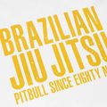 Pánské tričko Pitbull West Coast BJJ Champions white 3