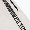 Pánské šortky Pitbull West Coast Tarento Shorts off white 4
