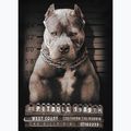 Pánské tričko Pitbull West Coast  Mugshot 2 black 8