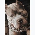 Pánské tričko Pitbull West Coast  Mugshot 2 black 9