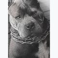 Pánské tričko Pitbull West Coast  Mugshot 2 white 9