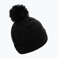 Zimní čepice Pitbull West Coast Beanie Bubble Small Logo 2 black 2